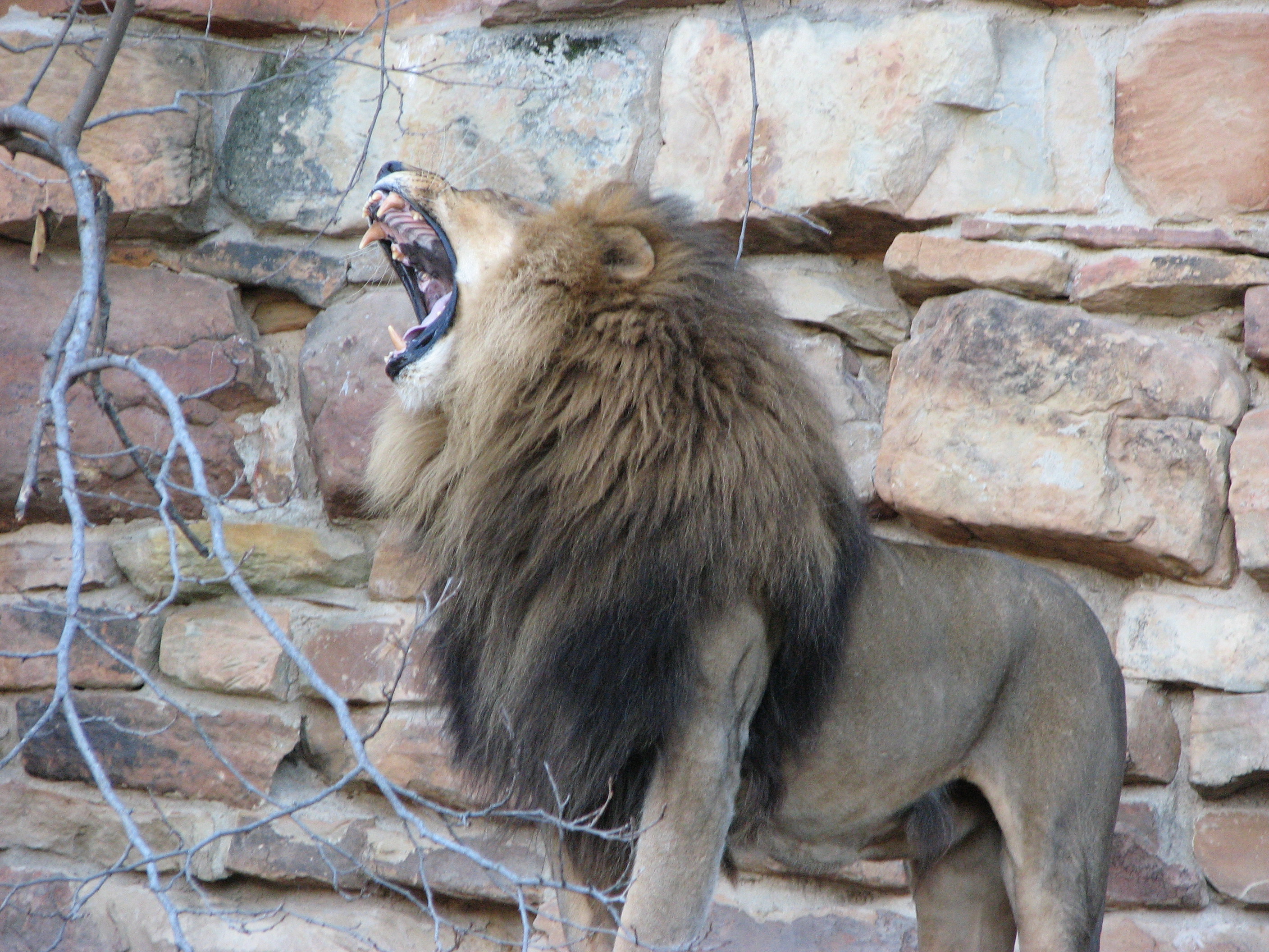 Fort Worth Zoo seconews.org